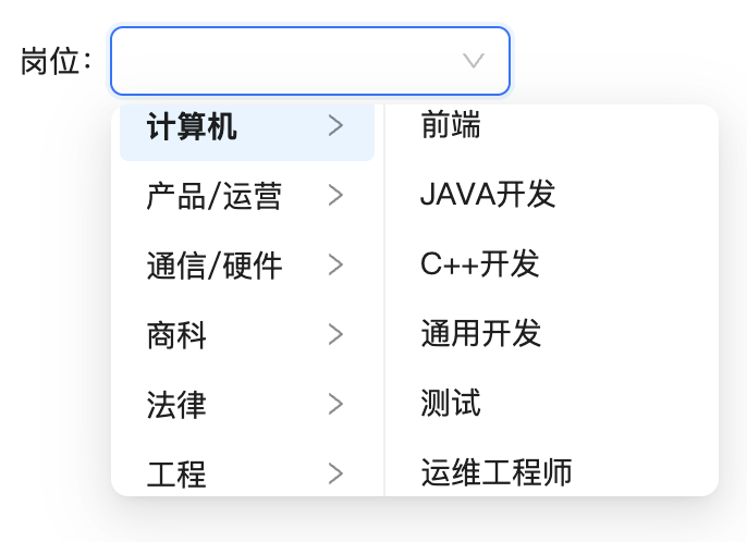 AI驱动求职平台，Java/Python/算法笔试精准突破